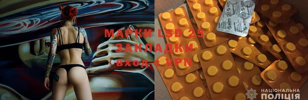 экстази Арсеньев