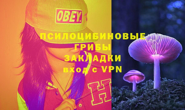 apvp Аркадак