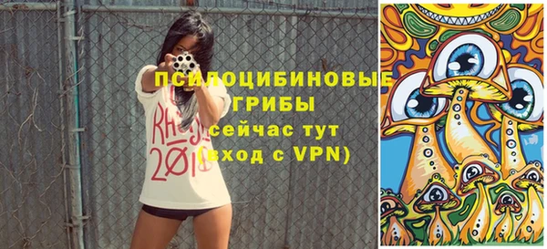 дмт Армянск